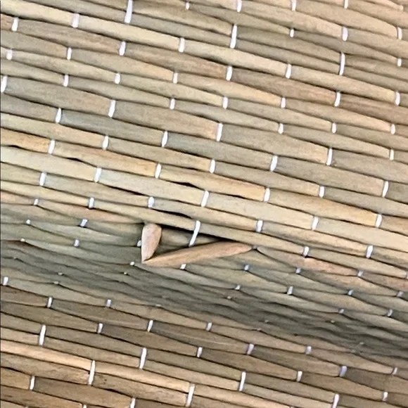 NWT Striped Beach Tote with Hot Pink Trim {flawed} - Picture 6 of 8